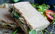 Grilled blue cheese sandwich with spinach leaves and gorgonzola