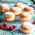 SG-Raspberry-Currant Doughnut
