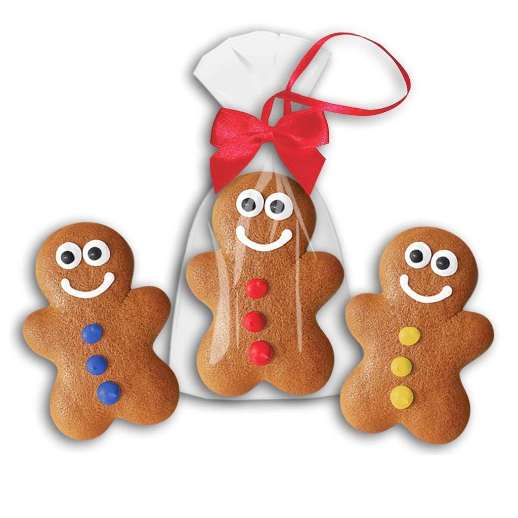 Gingerbread man in a gift bag